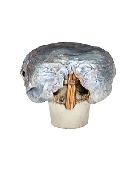 Munición metálica FEDERAL Trophy Bonded Tip - Imagen 5