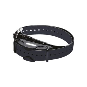 Collar para adiestramiento de perros Professional Dresseur BITRABI