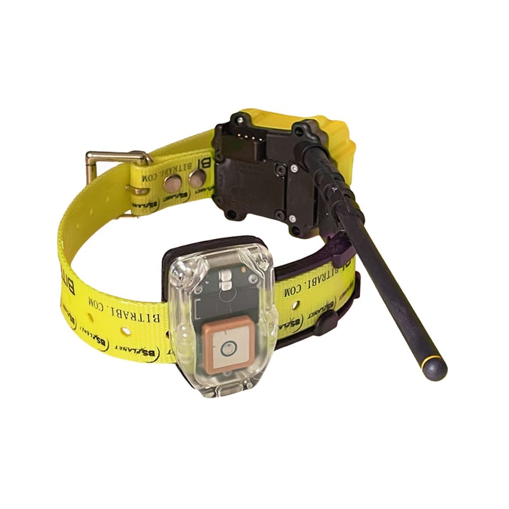 Collar Radio + GPS para perros de caza MITO 5100 BITRABI - Imagen 2